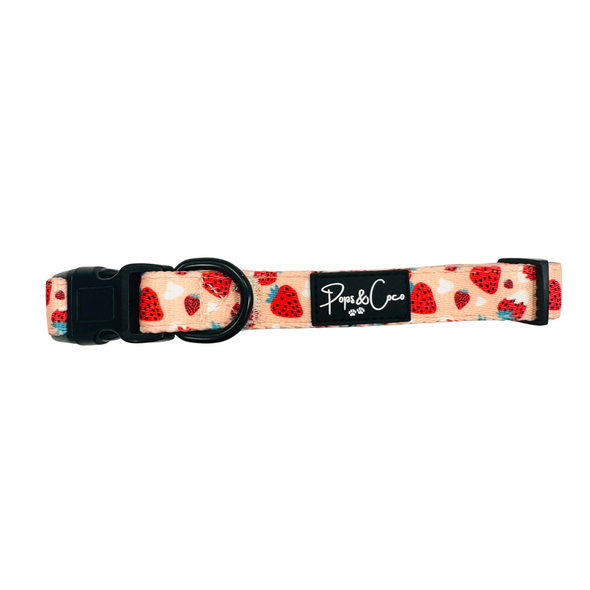 Strawberries & Cream Collar