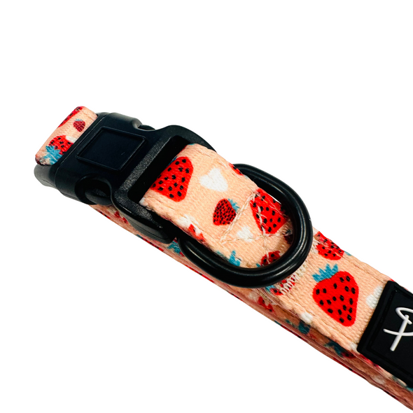 Strawberries & Cream Collar