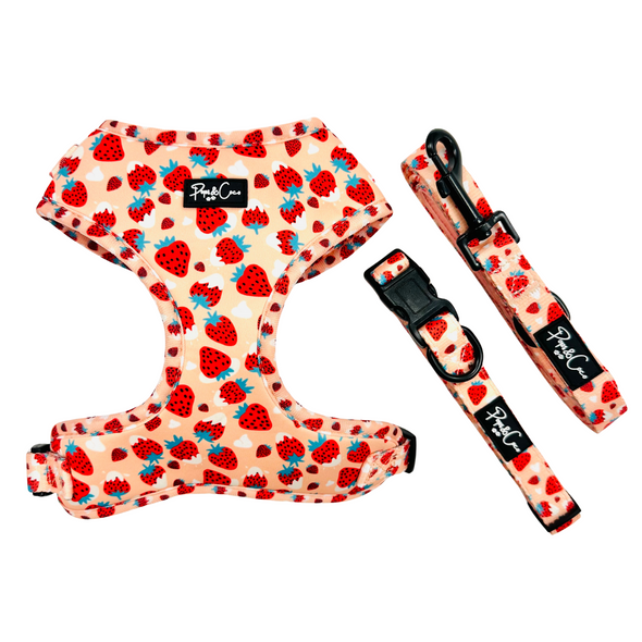 Strawberries & Cream Fully Adjustable Harness