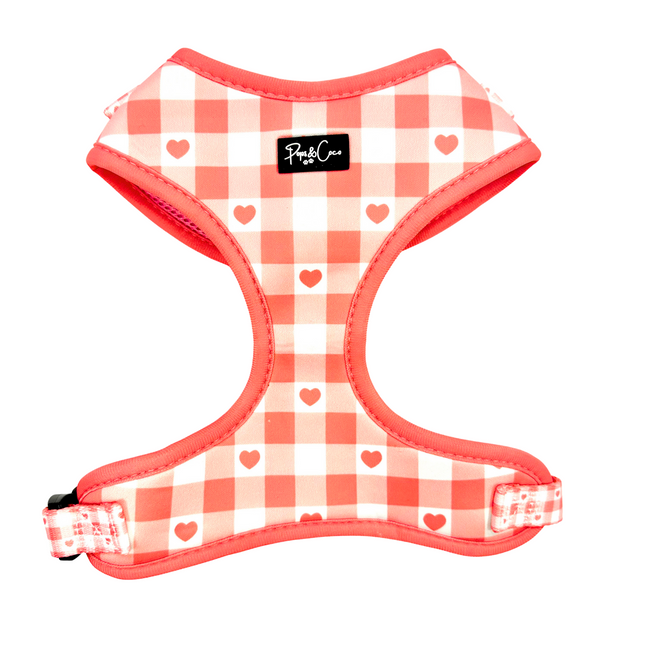 Sweetheart Fully Adjustable Harness