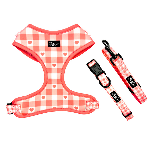 Sweetheart Collar
