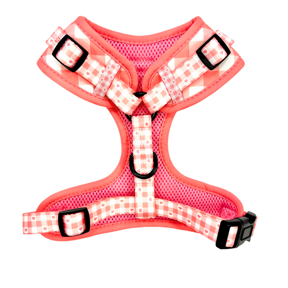Sweetheart Fully Adjustable Harness