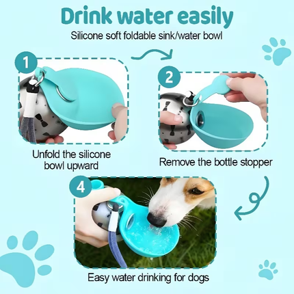 Collapsible Water Bottle & Bowl