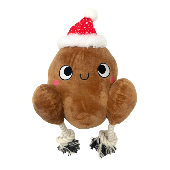 Christmas Turkey Toy