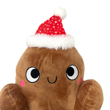 Christmas Turkey Toy