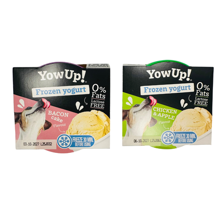 YOWUP! Frozen Yogurt Treat