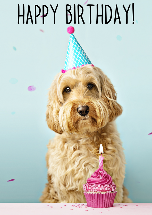 Cockapoo In A Hat Birthday Card