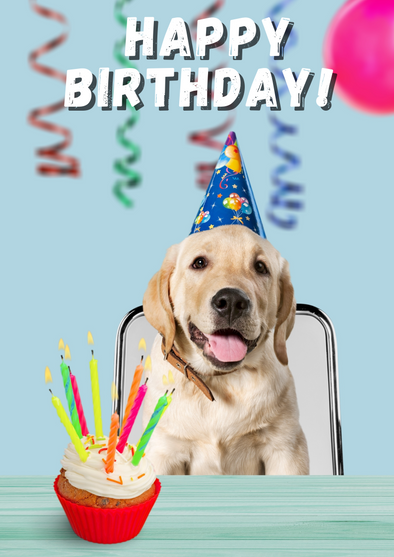 Labrador In A Hat Birthday Card