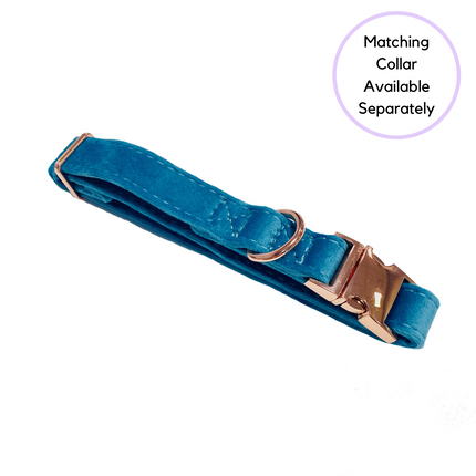 Velour Lead - Teal