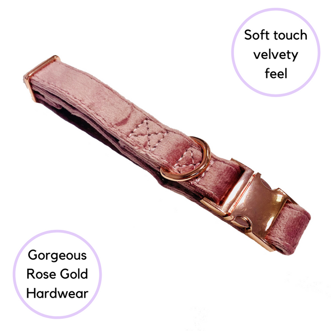 Velour Collar - Blush