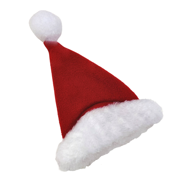 Santa Hat