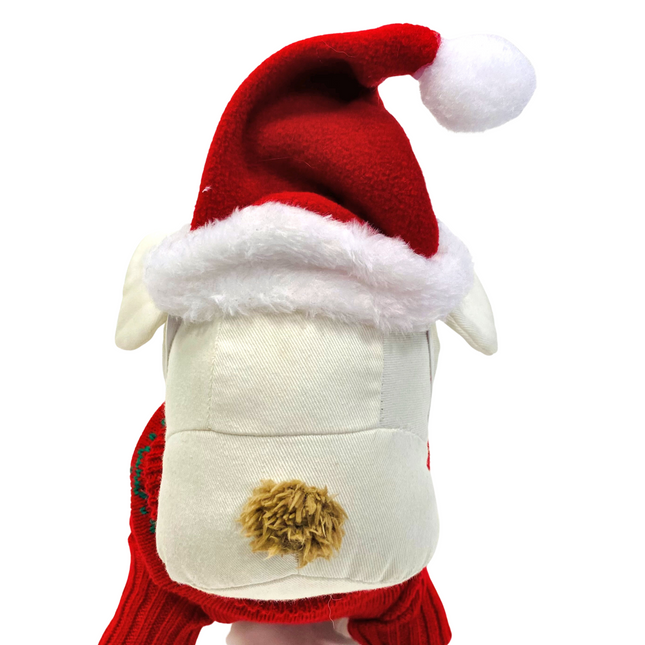 Santa Hat
