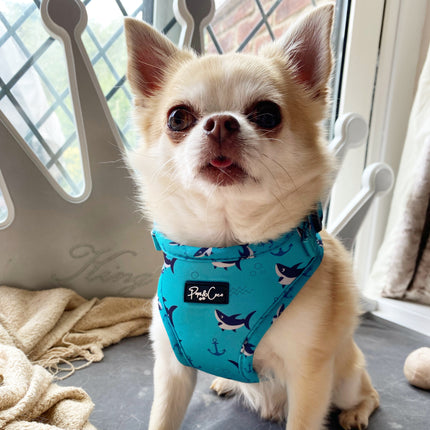Shark Attack Fully Adjustable Harness