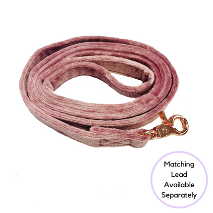 Velour Collar - Blush