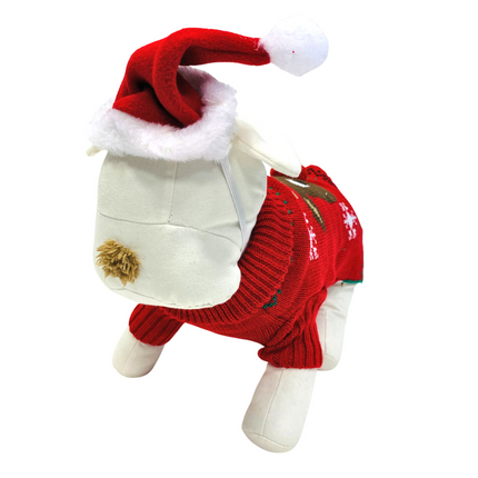 Santa Hat
