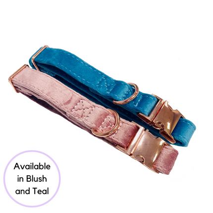 Velour Collar - Blush