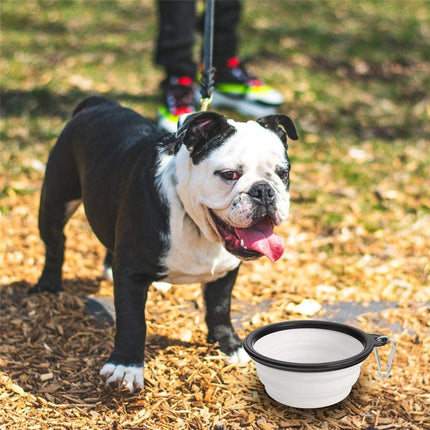 Collapsible Water Bowl