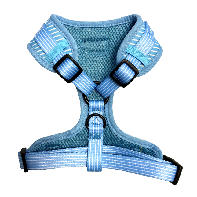 Pinstripe Blue Fully Adjustable Harness