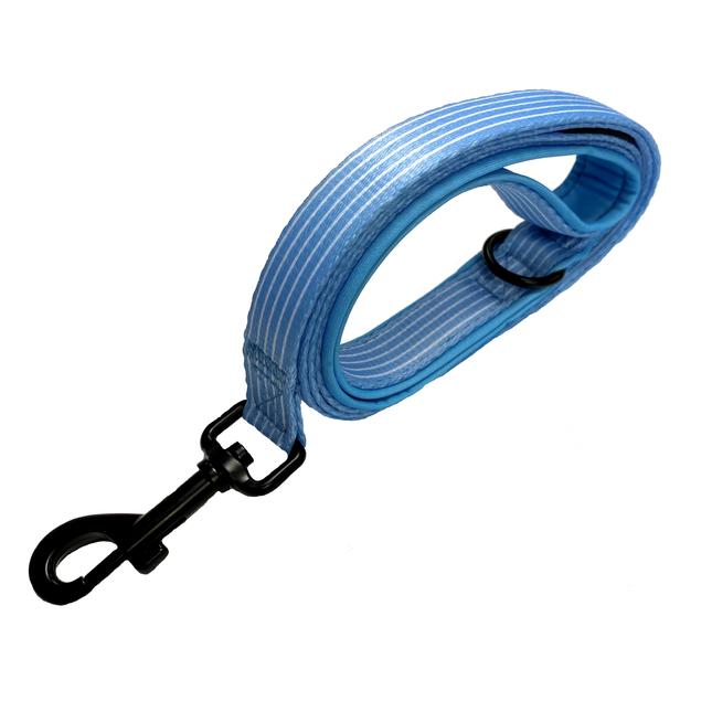 Pinstripe Blue Lead
