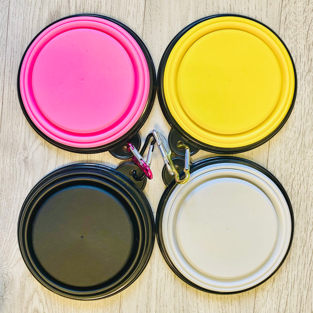 Collapsible Water Bowl