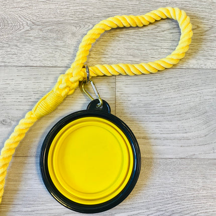 Collapsible Water Bowl
