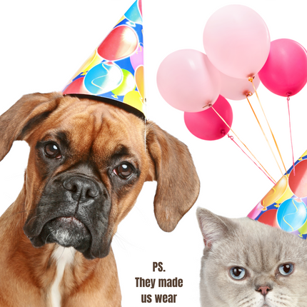 Party Time Birthday Card