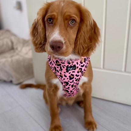 Chic Coral Leopard Fully Adjustable Harness