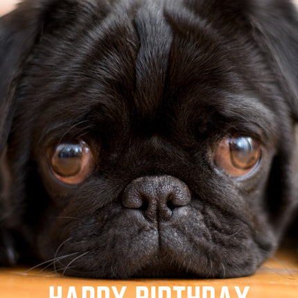 From The Dog Birthday Card