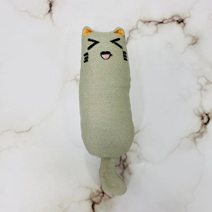 Catnip Kitty Toy