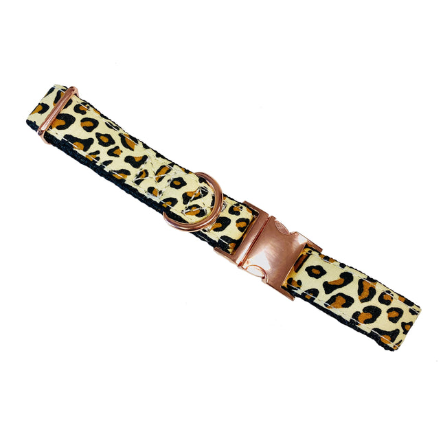 Animal Print Collar