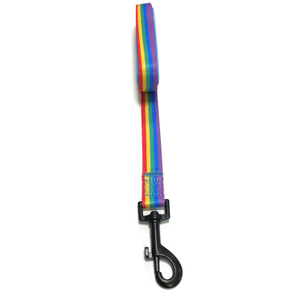 Rainbow Lead