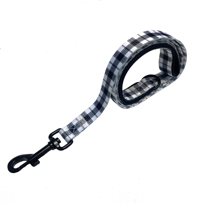 Check It Out In White Lead
