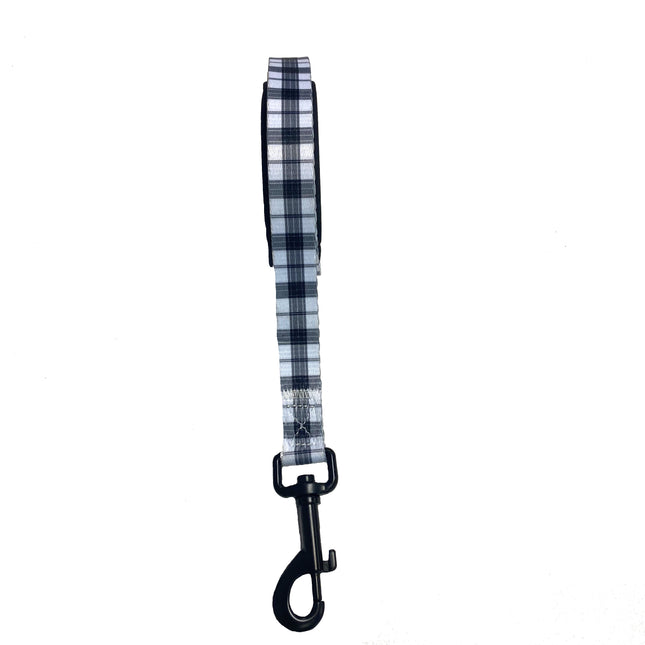 Check It Out In White Lead