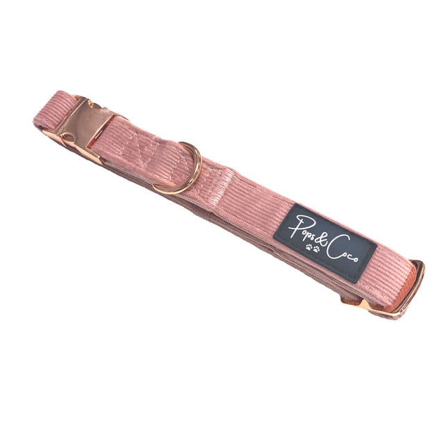Luxury Corduroy Collar in Pink