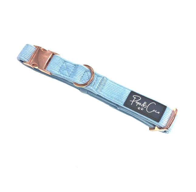 Luxury Corduroy Collar in Blue