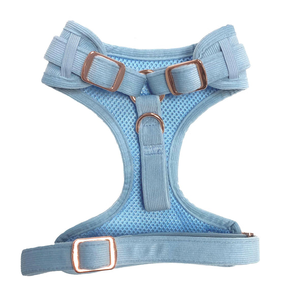 Luxury Corduroy Fully Adjustable Harness in Blue