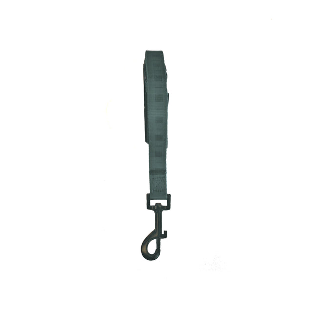Check It Out In Green Lead