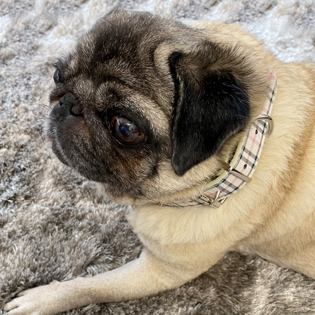 Tartan Collar - Beige