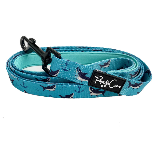 Shark Attack Lead