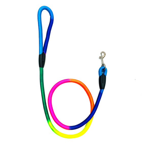 Nylon Rope Lead - Neon Rainbow
