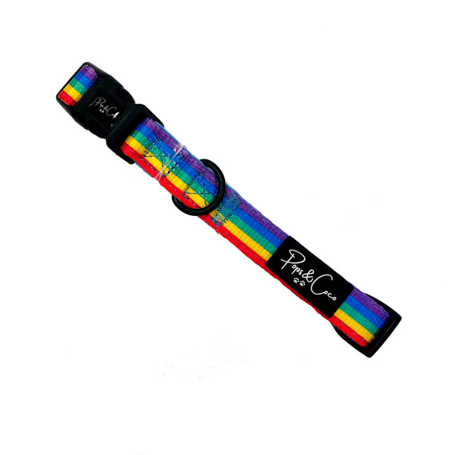 Rainbow Collar