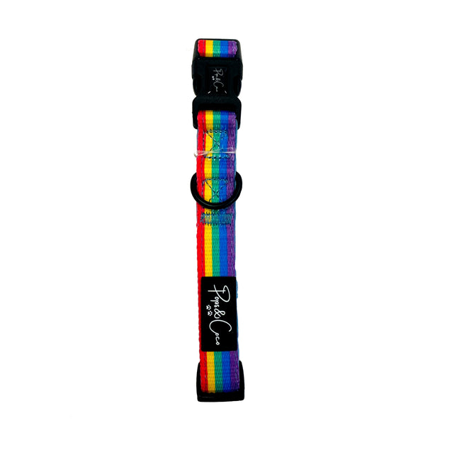 Rainbow Collar