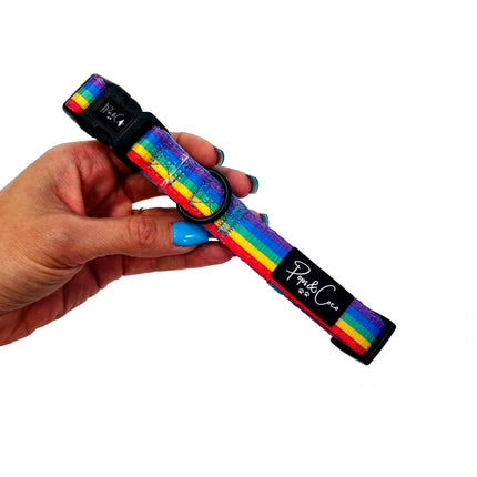 Rainbow Collar