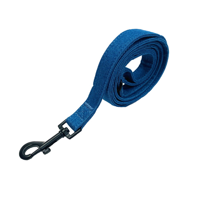 Delightfully Denim Lead