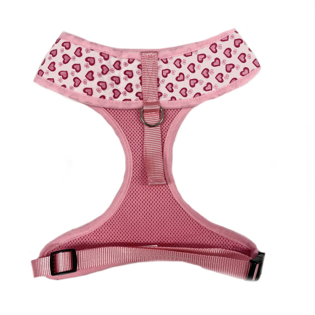 Follow Your Heart Harness