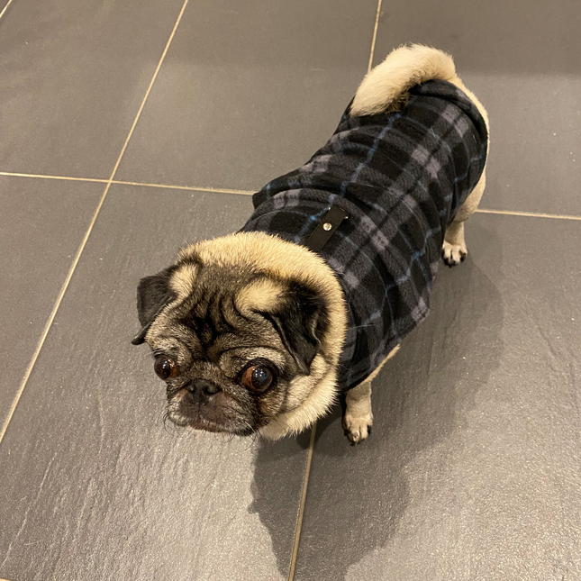 Cosy Winter Fleece - Grey