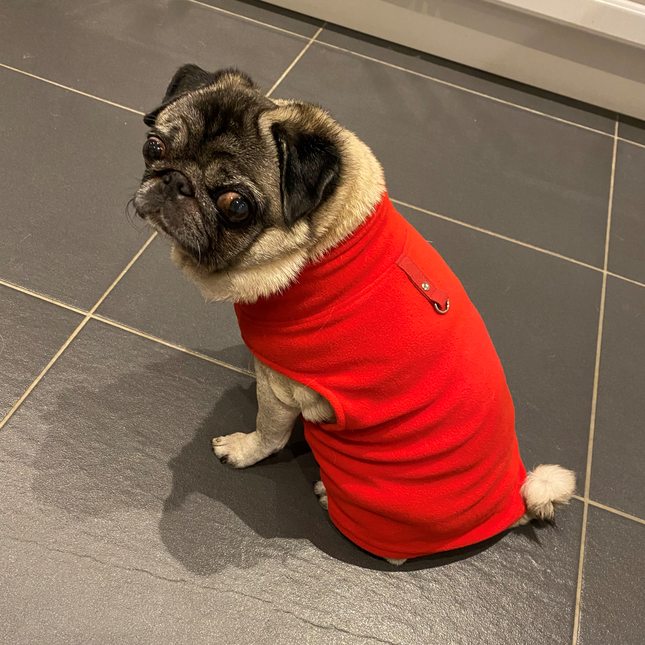 Cosy Winter Fleece - Red