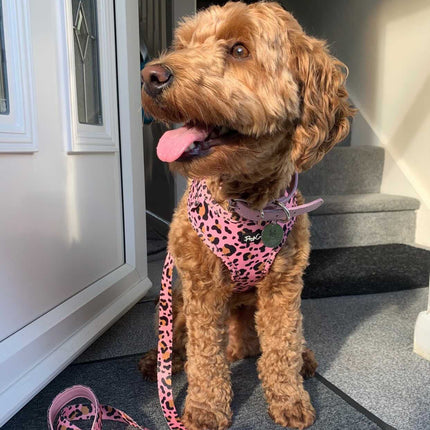 Chic Coral Leopard Fully Adjustable Harness