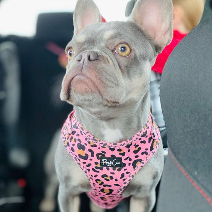 Chic Coral Leopard Fully Adjustable Harness
