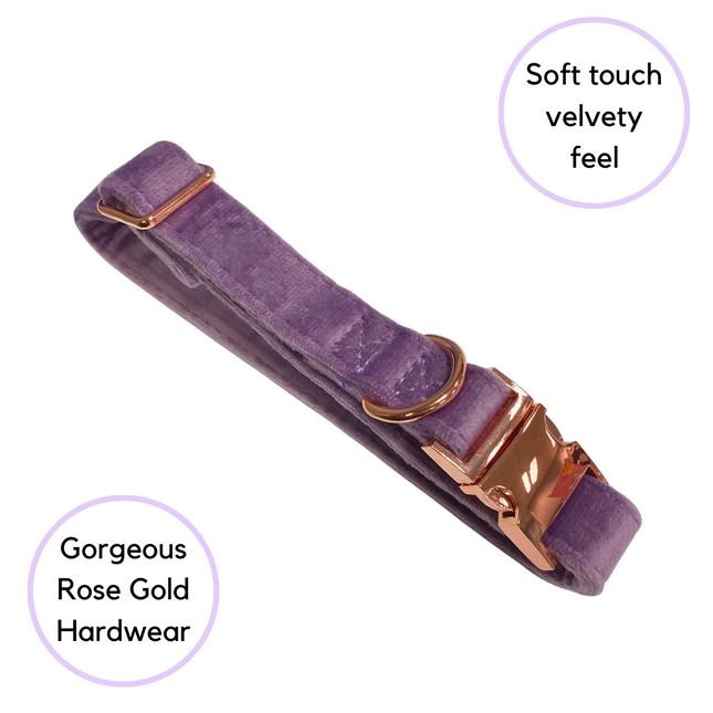 Velour Collar - Lilac